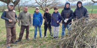 Baumpflege Arbeiten des “Bürgerverein Holzheim” – Enkel unterstützen ihre Großväter