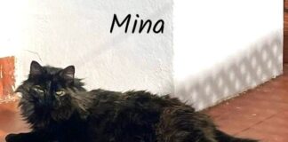Mina im schicken Outfit! Zuhause gefunden!