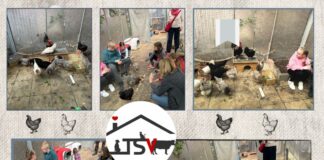 Was Hühner wirklich glücklich macht – Tierheim bringt Kindern artgerechte Haltung näher – nicht nur zur Osterzeit