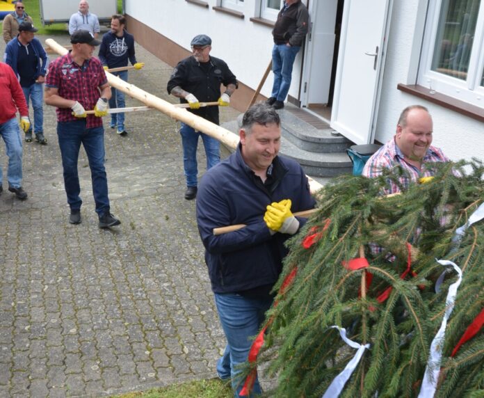 b Maibaum wird gebracht DSC_0870