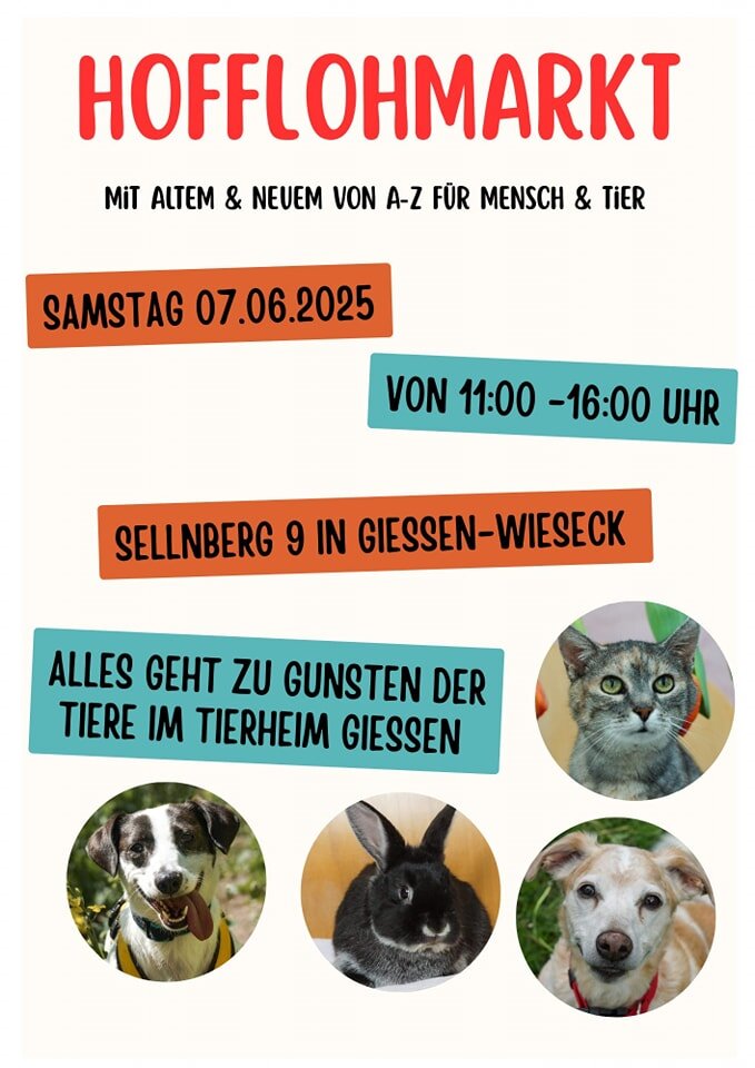 2025-05-22 Bild Flohmarkt