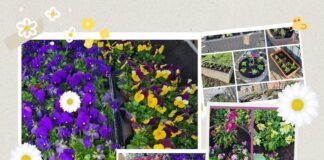 „Grüne Hände“ gesucht: Tierheim Gießen braucht Unterstützung im Garten
