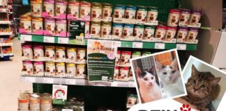 Große Futter-Aktion im XXL Fressnapf: Jede Dose zählt für Gießens Katzen!