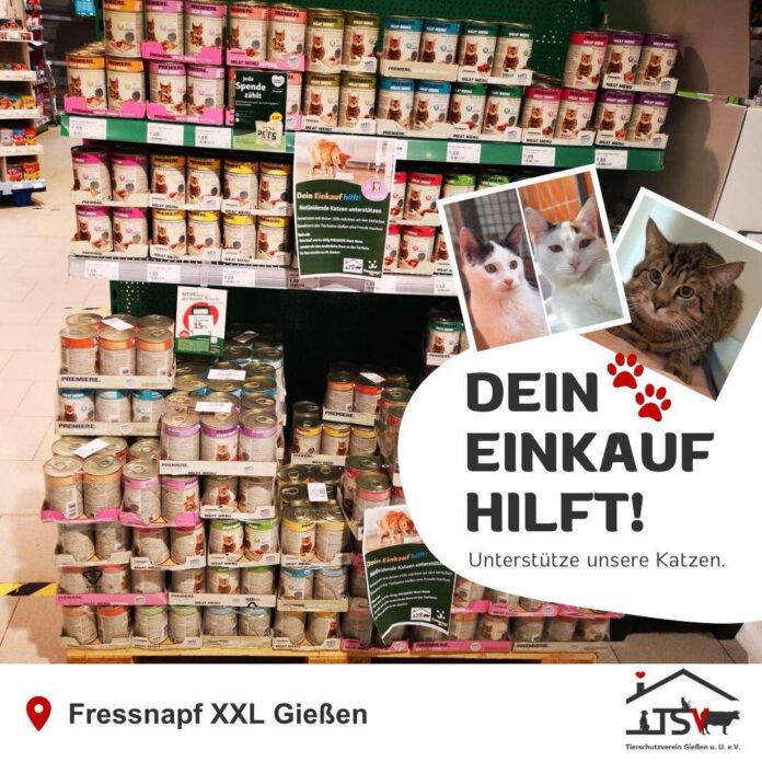 2025-05-26 Bild Spende für Gießens Katzen