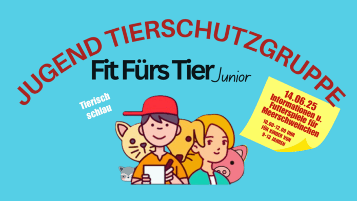 Meerschweinchen