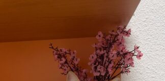 Ein stolzer Kater!