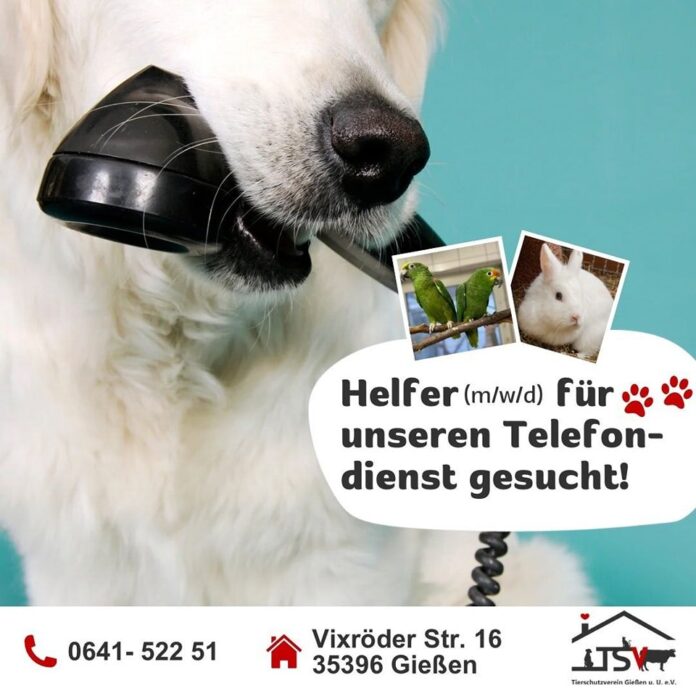 2025-06-19 Bild Telefondienst