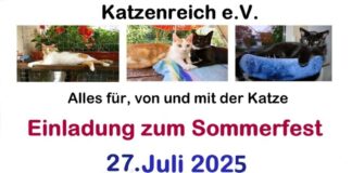 Katzenreich e.V. Sommerfest