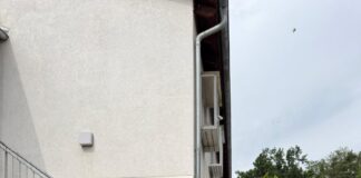 Ladies Circle 87 Gießen spendet 2.000 € an Tierheim Gießen – Start einer dauerhaften Unterstützung