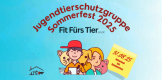 Informationsstand am Sommerfest 31.08.2025
