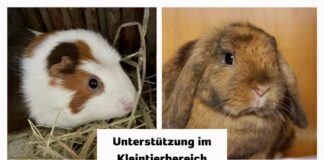 Wer kann helfen?