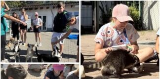 Projektwoche zum Thema „Gemeinsam für den Tierschutz“ an der Adolf-Reichwein-Schule