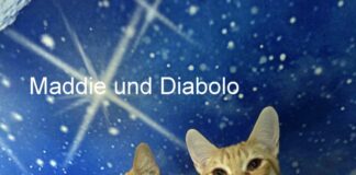 Traumpaar möchte Sie verzaubern!
