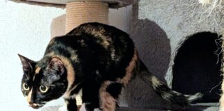 Prinzessin Morgan!
