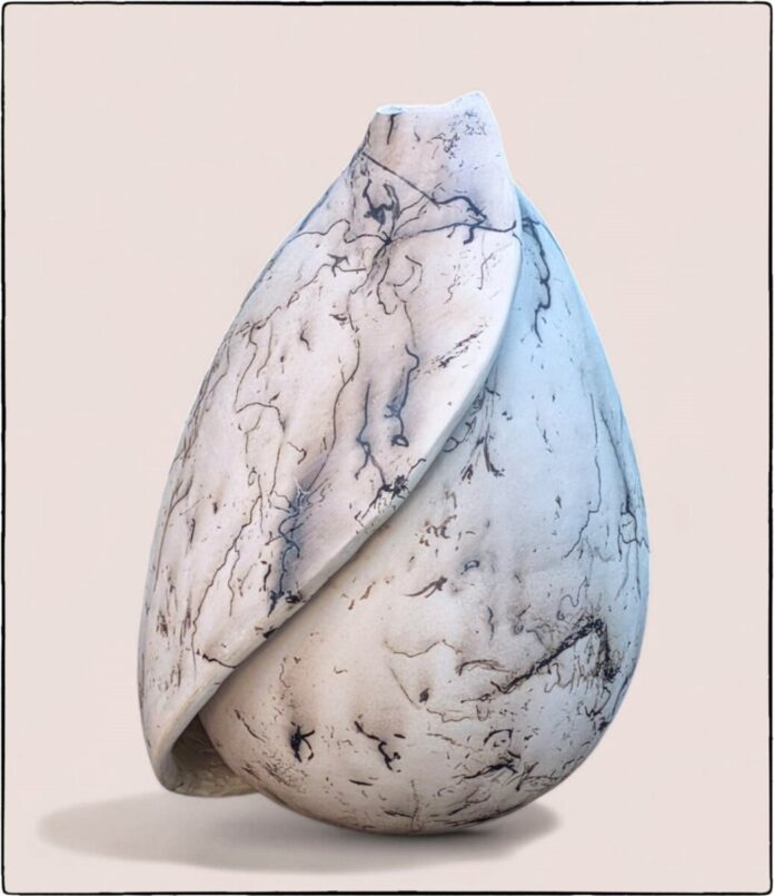 coquillage Barbara Weibel