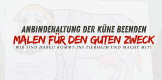Letzten Sonntag im Tierheim: Kaffee, Kuchen & Kuhkunst gegen Ketten!
