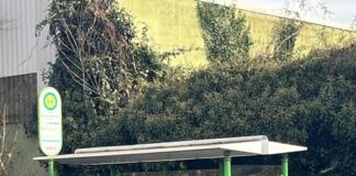 SPD-Ortsverein Gießen-Süd zum veränderten Nahverkehrsplan: Mobilität bedeutet Teilhabe