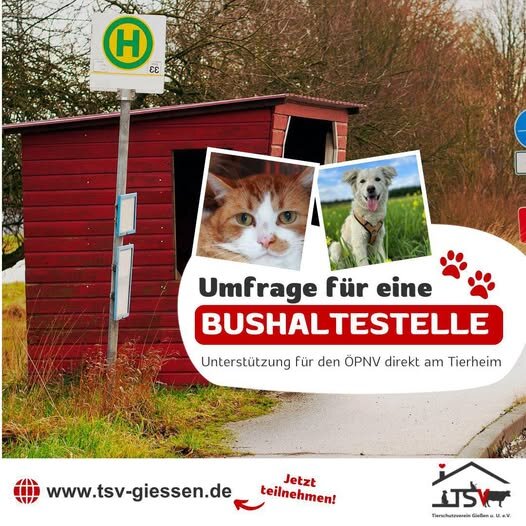 Bushaltestelle für das Tierheim Gießen