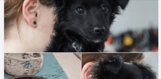 Hallo Welt, ich bin Lilli – VERMITTELT