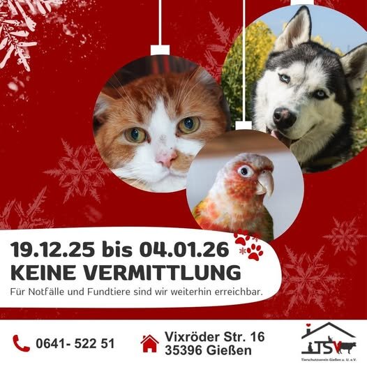 Keine Vermittlung