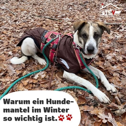Wintermantel
