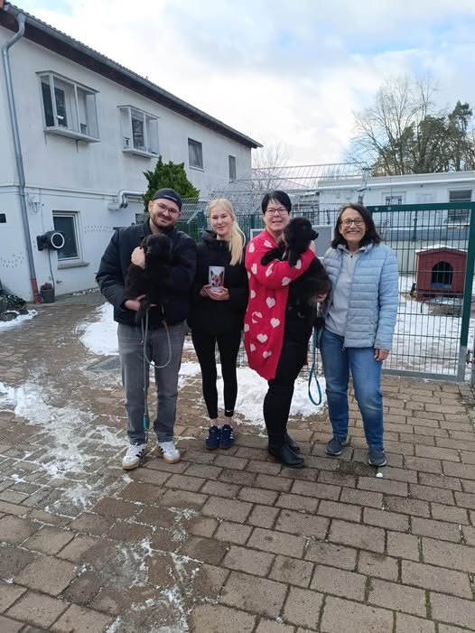 Geburtstagsspende