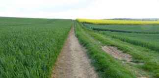 „Schlechte Zeiten für den Naturschutz und die Biodiversität“ – JHV des NABU Holzheim/Dorf-Güll/Grüningen