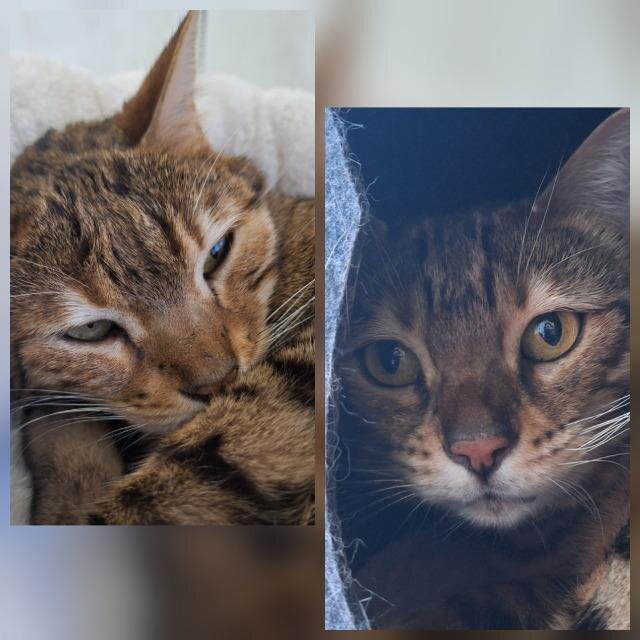 Dina und Daisy