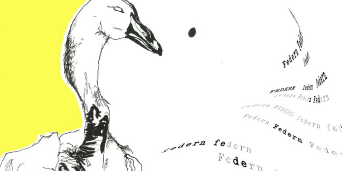 Fremde Federn