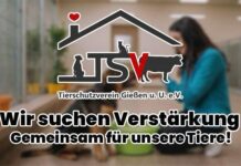Du liebst Tiere? Wir auch! Komm in unser Team als Tierpflegerhelfer (m/w/d)