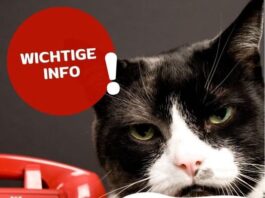 Liebe Tierfreunde: Aktuell brauchen wir ein bisschen mehr Zeit