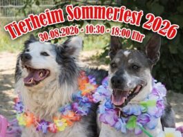 Save the Date zu unserem Sommerfest im Tierheim!