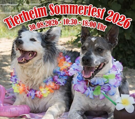 Sommerfest im Tierheim Gießen!