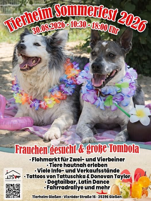 Sommerfest Tierheim