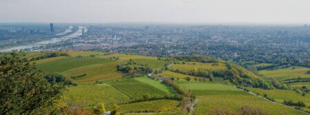 www.gute-blende.de
